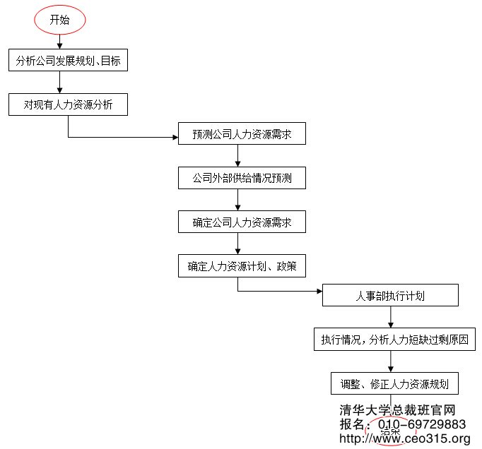 人力資源規劃工作流程